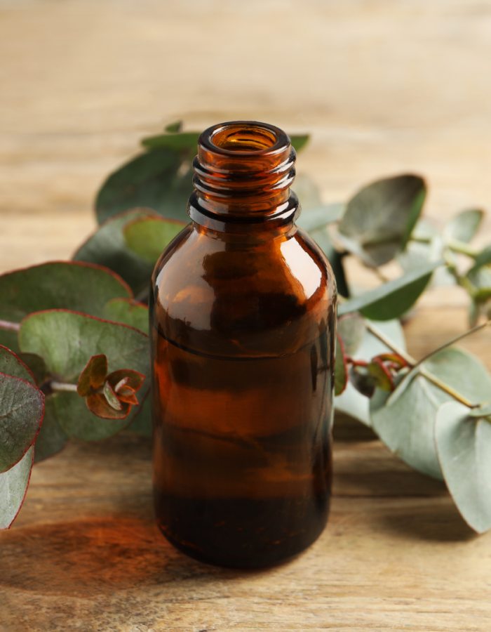 Rising (Instagram-bericht) (2)